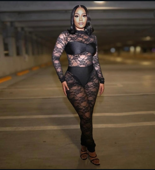 Mesh jumpsuit (comes with undergarments)